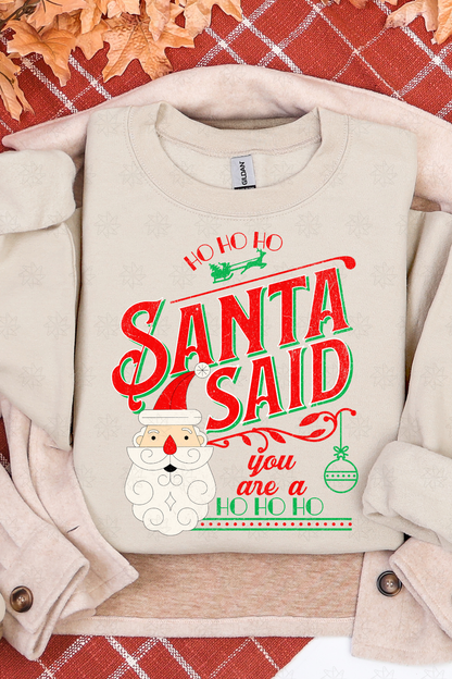 Santa Said You Are A Ho Sweatshirt