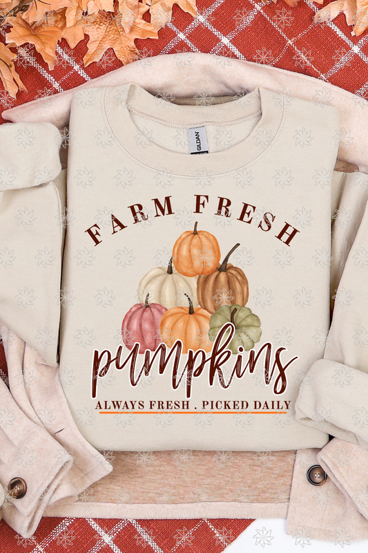 Farm Fresh Pumpkins Picked Daily Sweatshirt