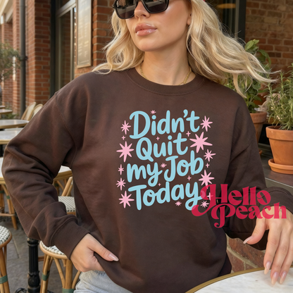 I Didn't Quit My Job Today Tee or Sweatshirt